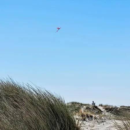 467-hvide-sande-tingodden-212 Nyaraló